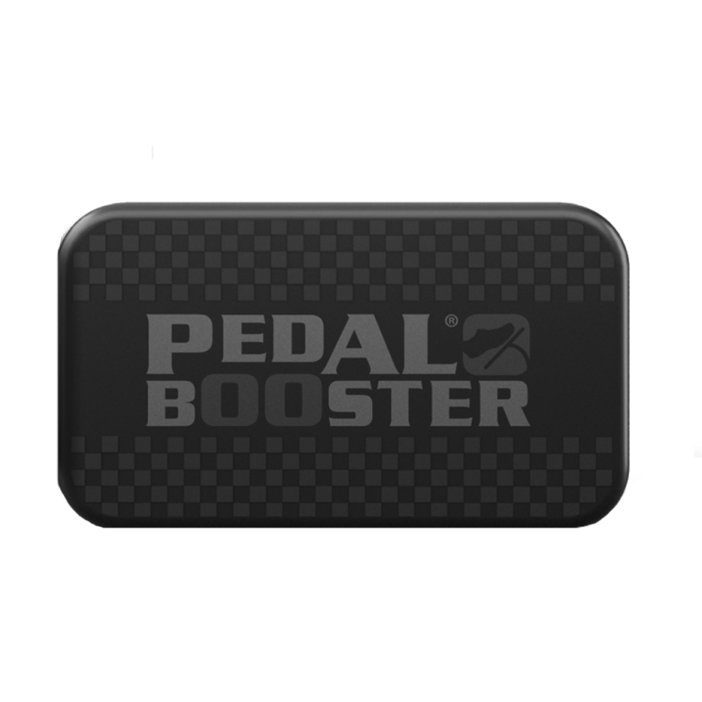 Renault Avantime 2.2 DCI Diesel Pedalbooster (DE)(2001-2003)